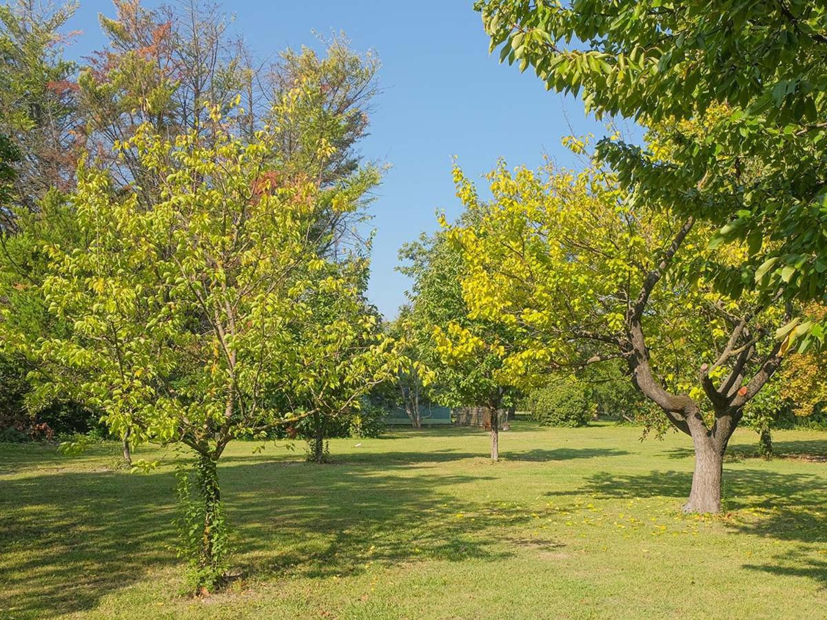 索格岛Montjoia住宿加早餐旅馆 外观 照片